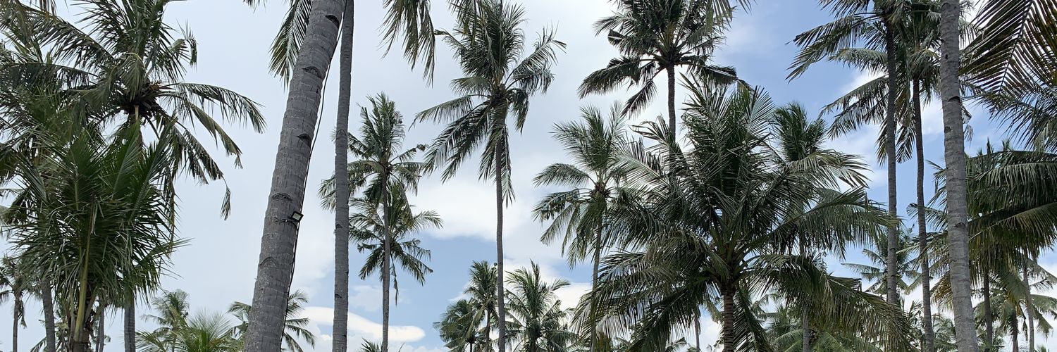 anjani g. kinasih banner