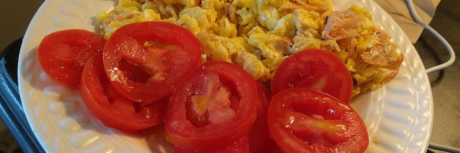 Atkins Diet banner