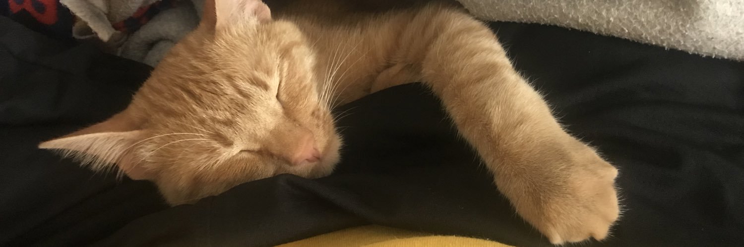 SamDougaII's profile banner image