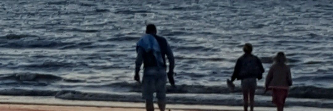 L💉nda Bouwmeester🐦 banner