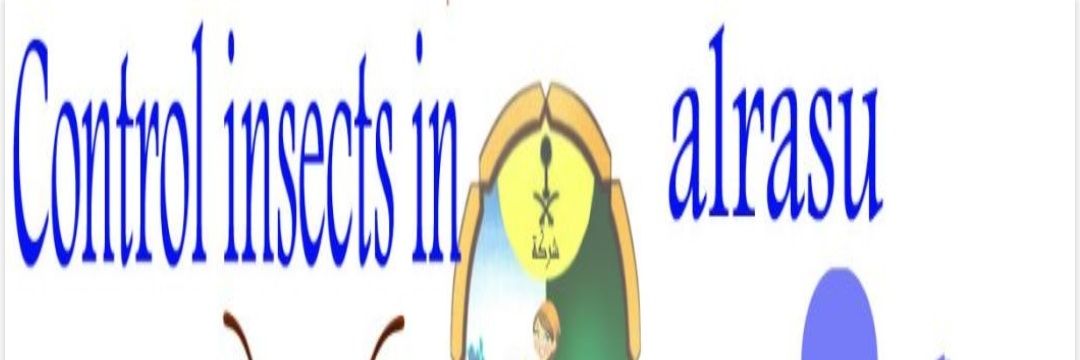 7o7o_jeddah's profile banner image