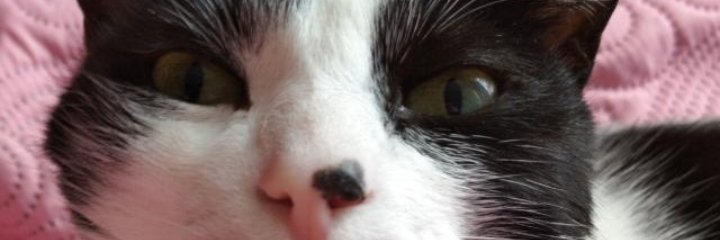 vanessariverahh's profile banner image