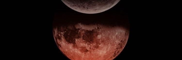 ti~ banner