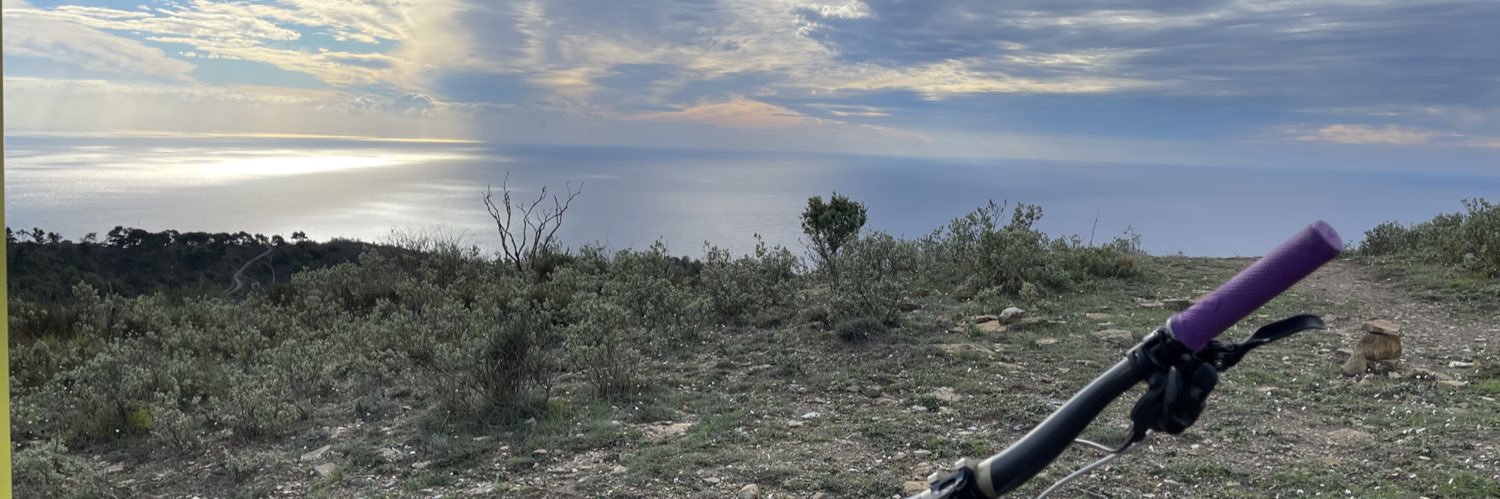 Antonio Natta banner