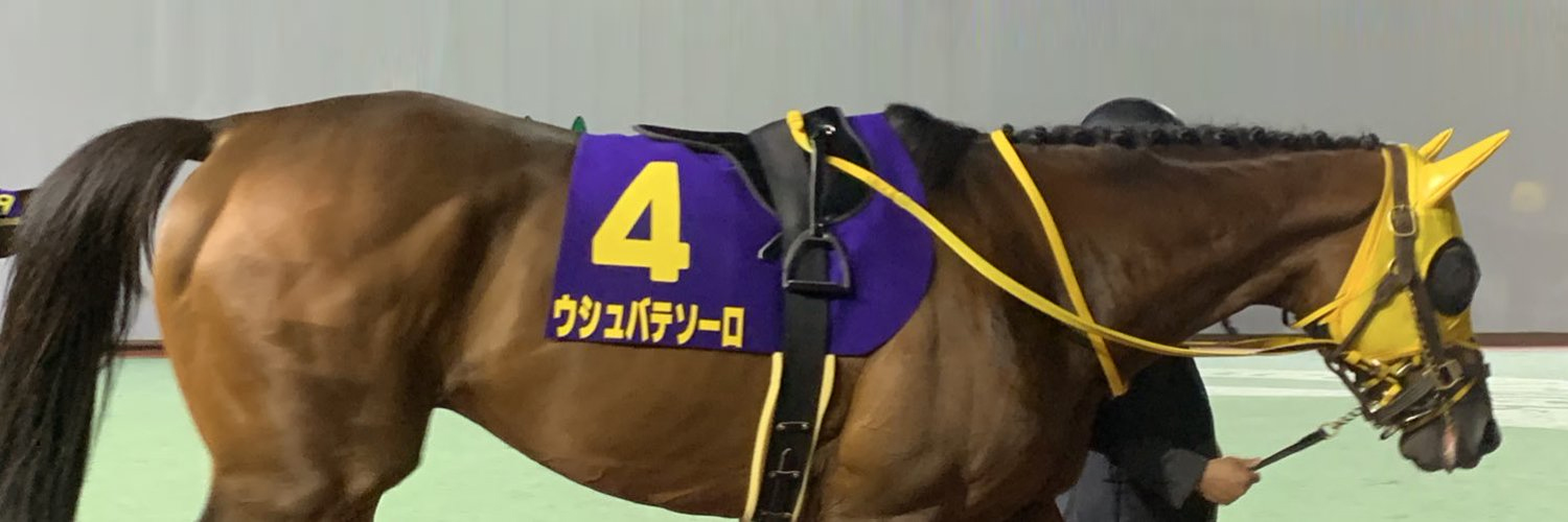 ichi6415's profile banner image