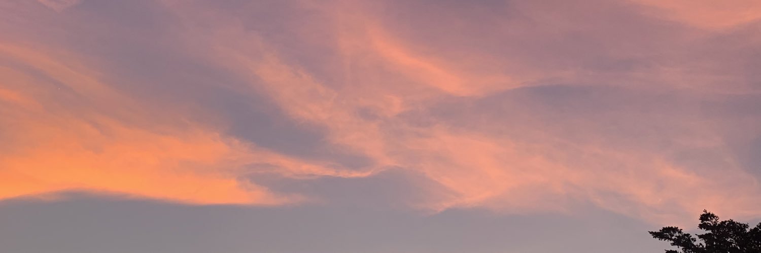 TONGl3's profile banner image