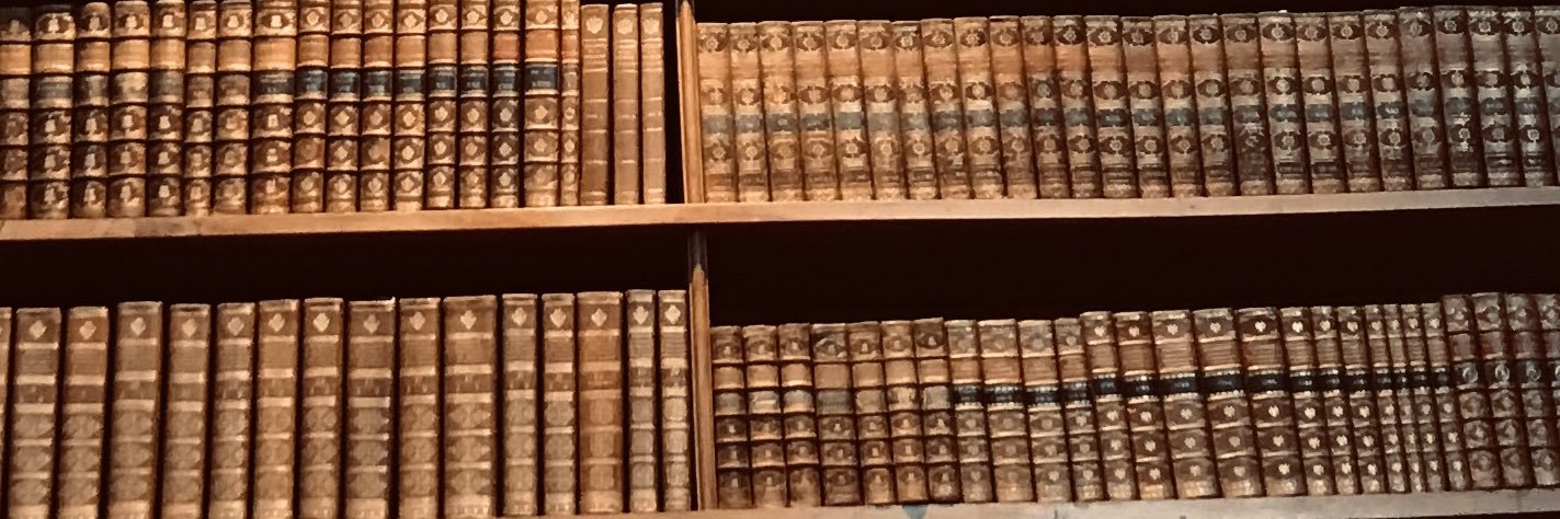 LiteraryVienna's banner
