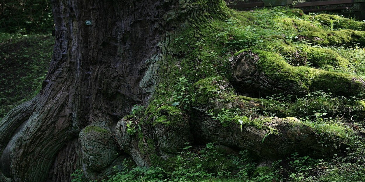 Pavel Vychodil banner