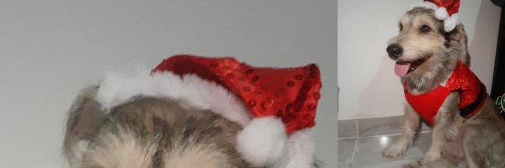 DAlmanza_08's profile banner image