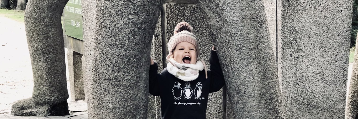 Sofievdtroost's profile banner image