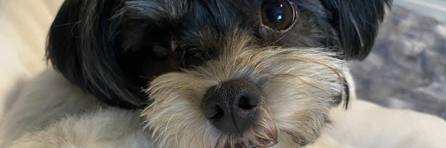 allisonrae31's profile banner image