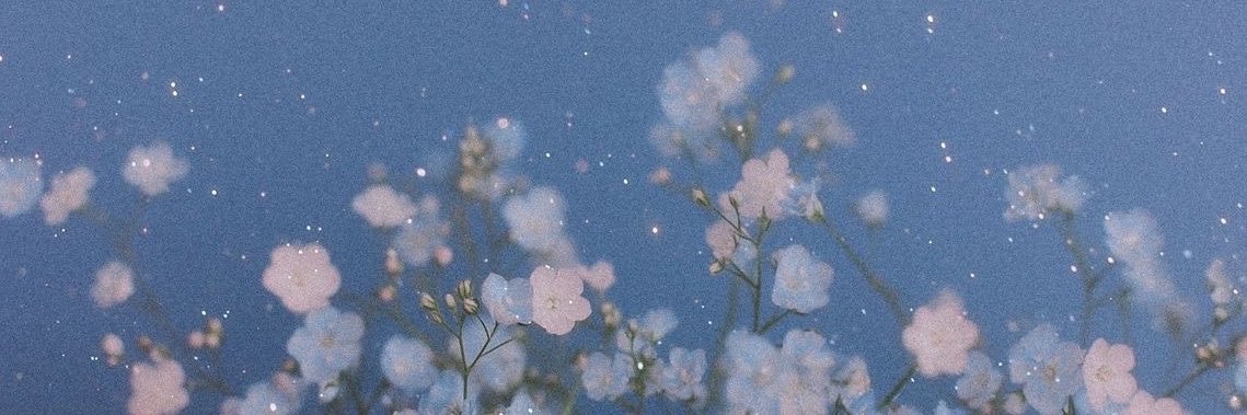 jeg_er_vinter's profile banner image