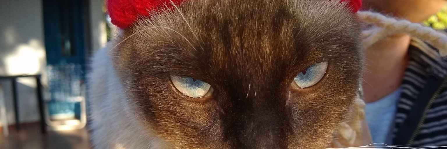 Florrr22's profile banner image