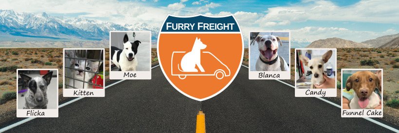 FurryFreight's profile banner image