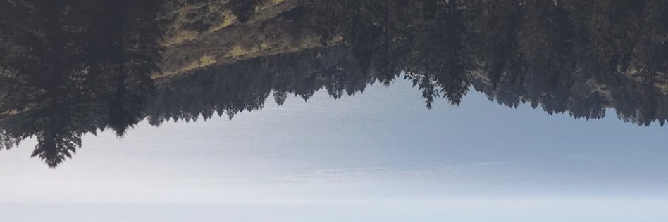 zmansteez's profile banner image