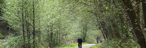 MKDeltaLands Profile Banner