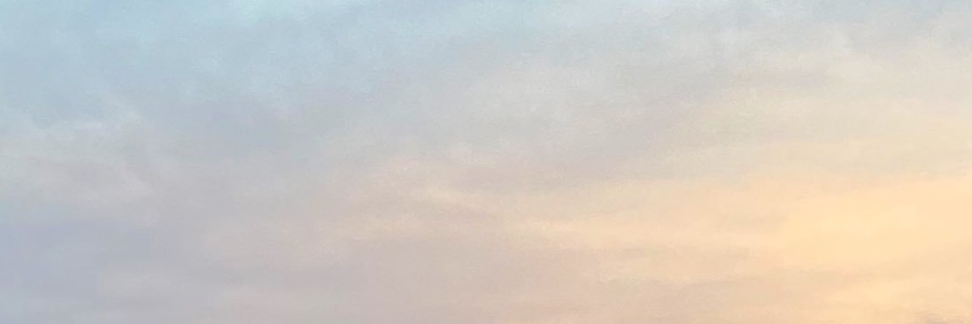 MELTyCASTLE's profile banner image