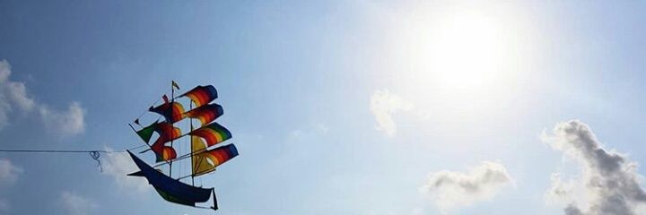 al ୧⍤⃝🐱 banner