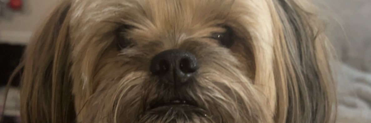 Ashleyyofficial's profile banner image