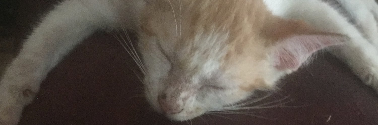 sraaack's profile banner image