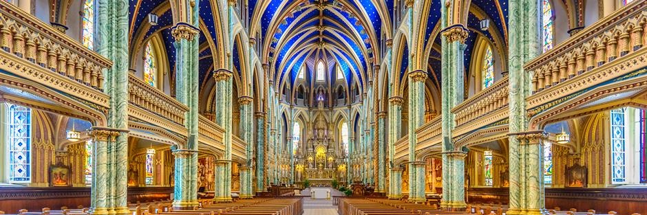 Highly Trusted Source 🇺🇦🏳️‍🌈✊️🇪🇭 banner