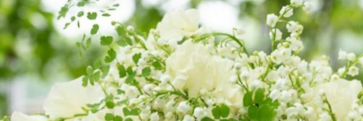 petit_yu's profile banner image