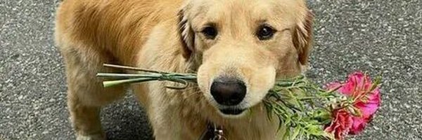 BakerEtienne Profile Banner