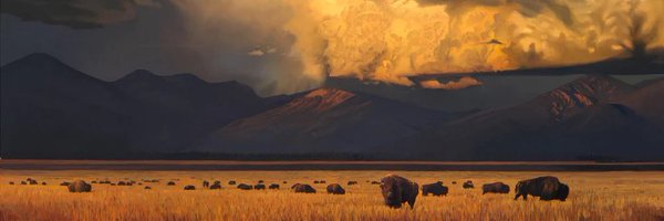 AustinBanzet Profile Banner