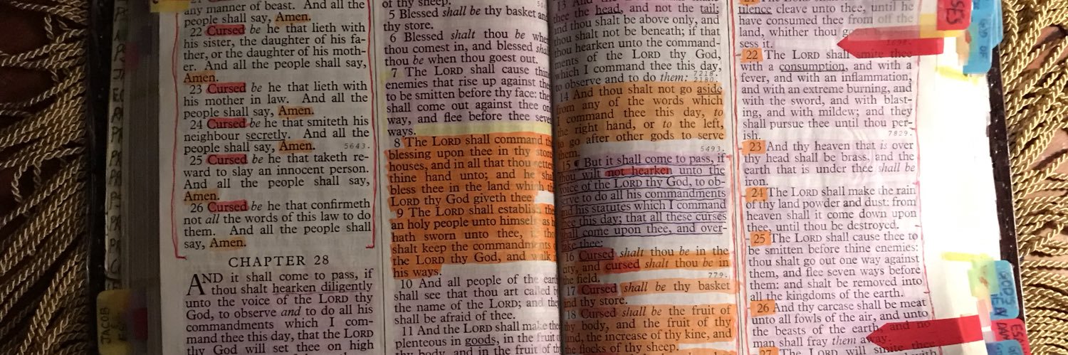 ToTheIsraelites's profile banner image