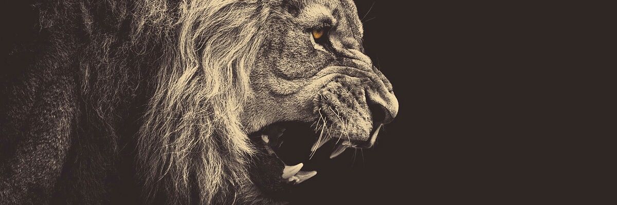 jorge_c87's profile banner image