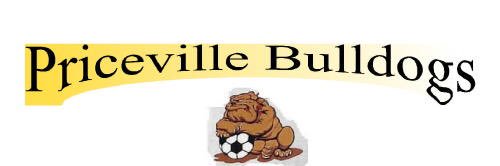 Priceville Lady Bulldogs soccer banner