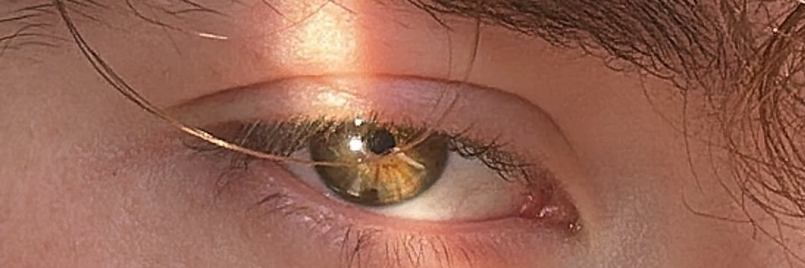 danielle_nandez's profile banner image