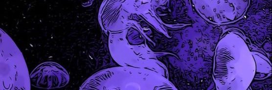 DaikutaN's profile banner image