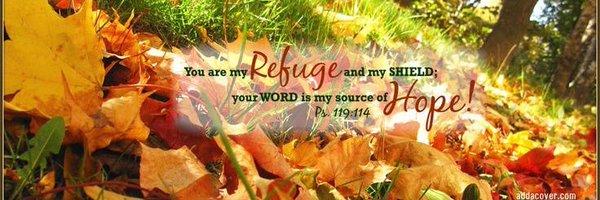 WildAtHeart46 Profile Banner