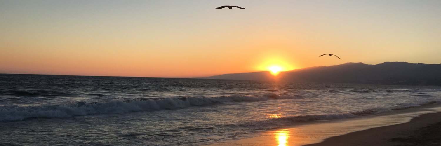 Andi Villacis Navas banner