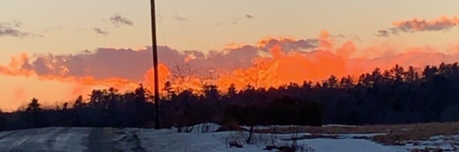 Rachele_kaline's profile banner image