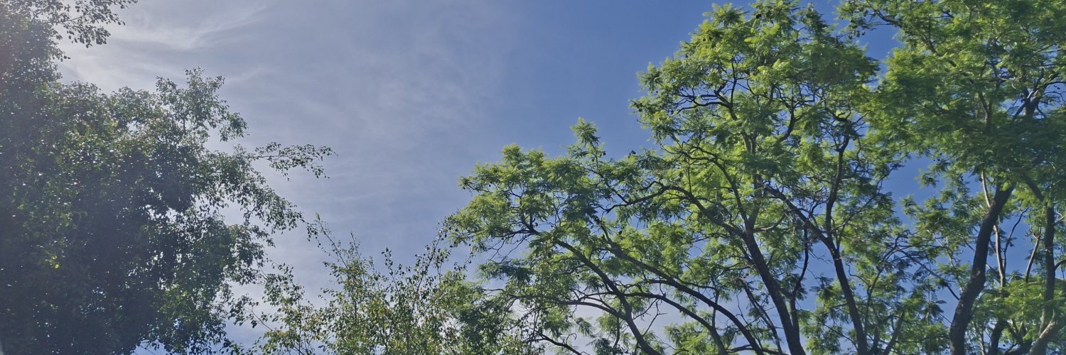 Liz7_7's profile banner image