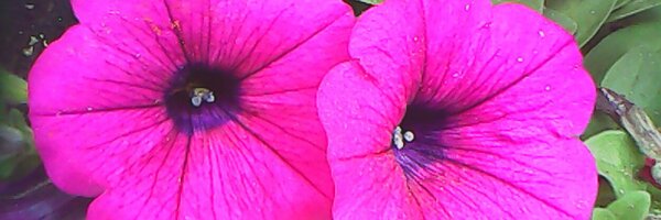 ryj1832 Profile Banner