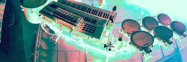 rozzycatt Profile Banner