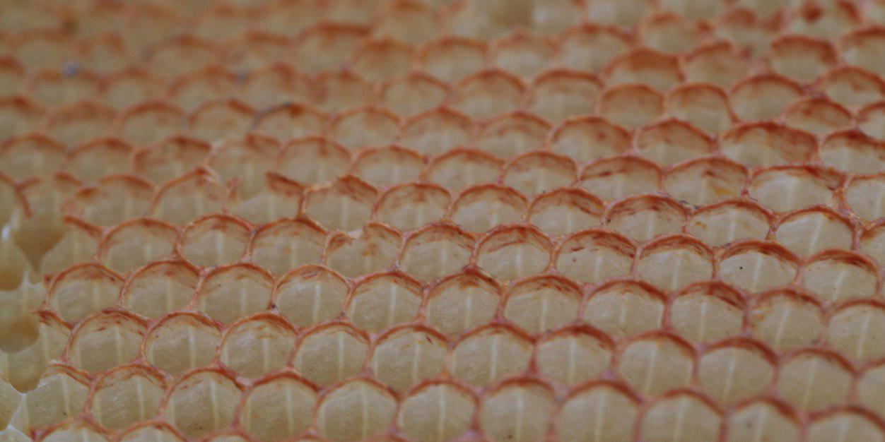 Richard COMPTE banner