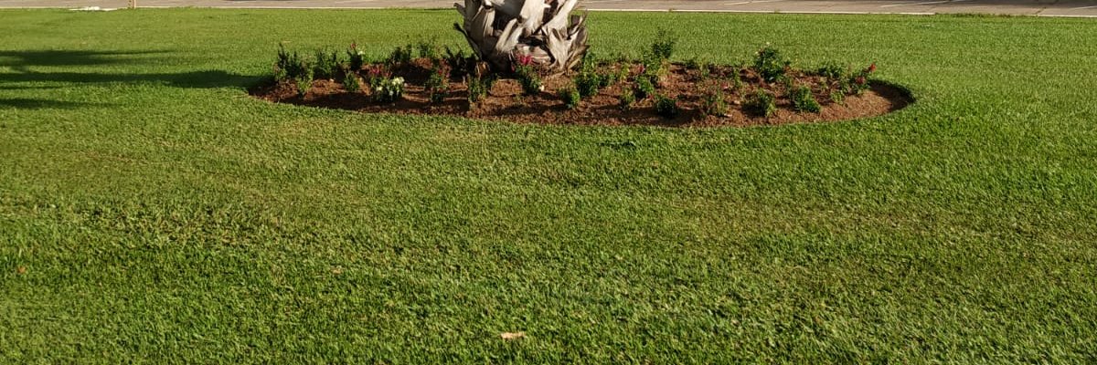 Marco Antônio Peixoto banner