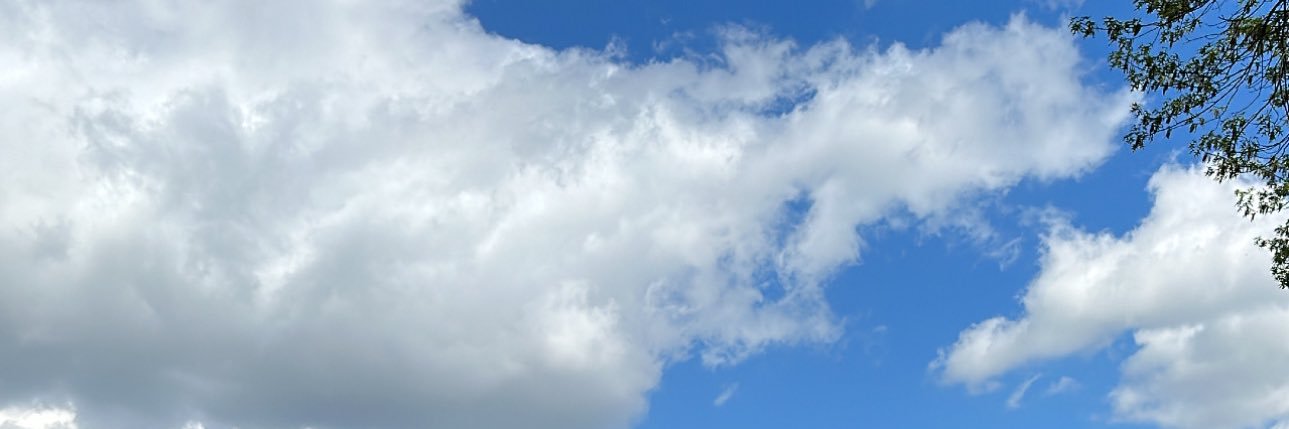 sofia_oller's profile banner image