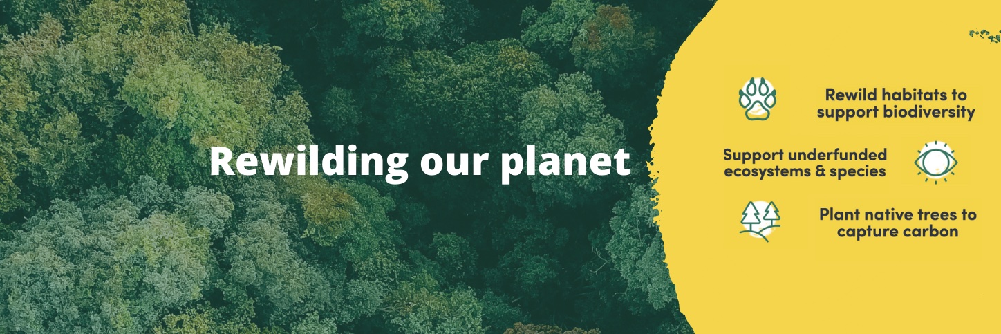 Mossy Earth banner