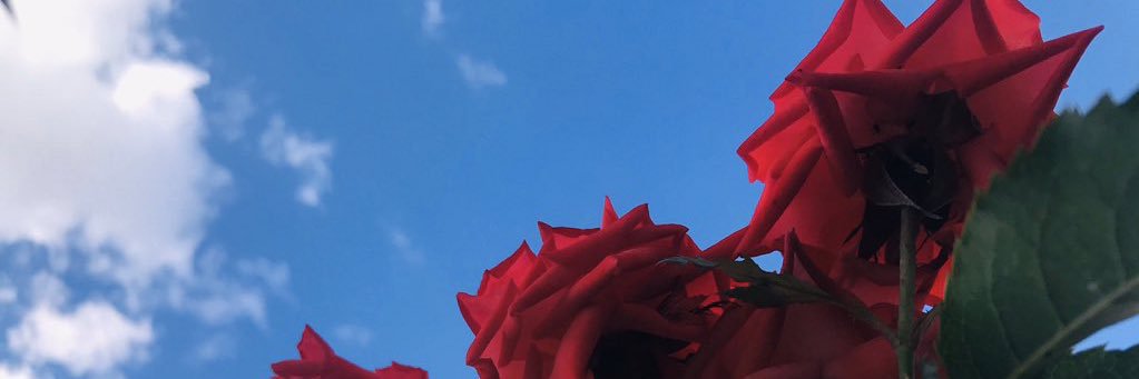 alhakm07's profile banner image