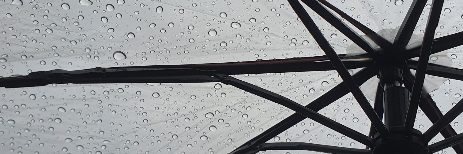 say_yay's profile banner image