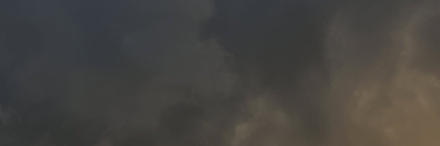 Joeccelynn's profile banner image