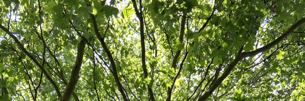 Emmacoo75 Profile Banner