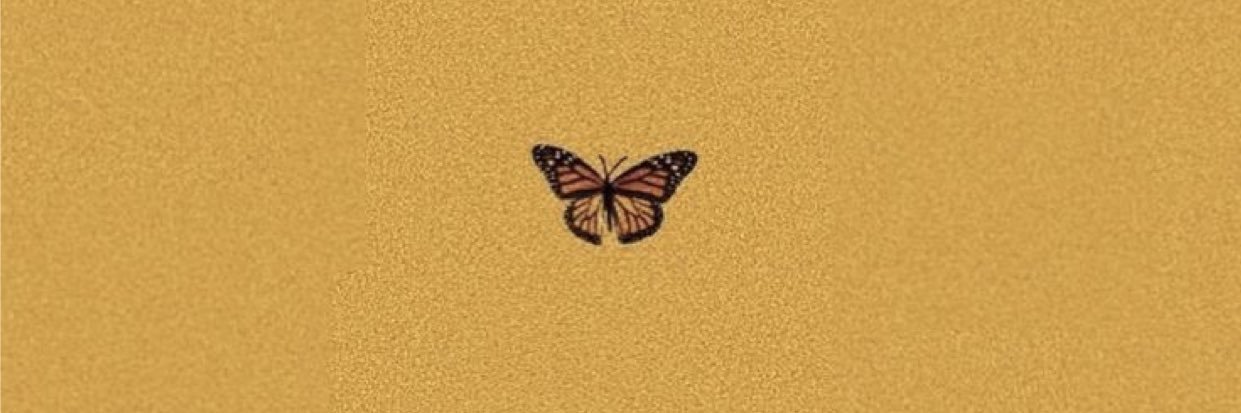 dawson banner