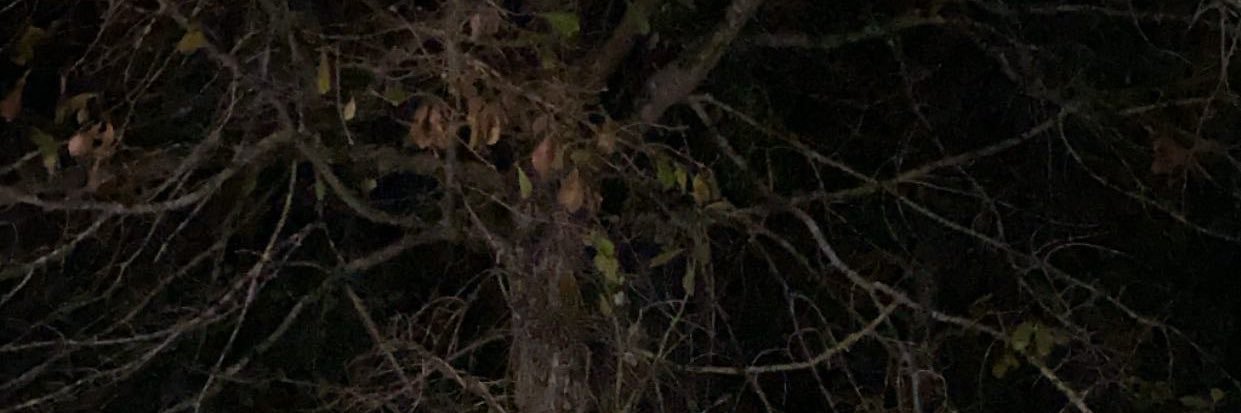 calebtaylor65's profile banner image