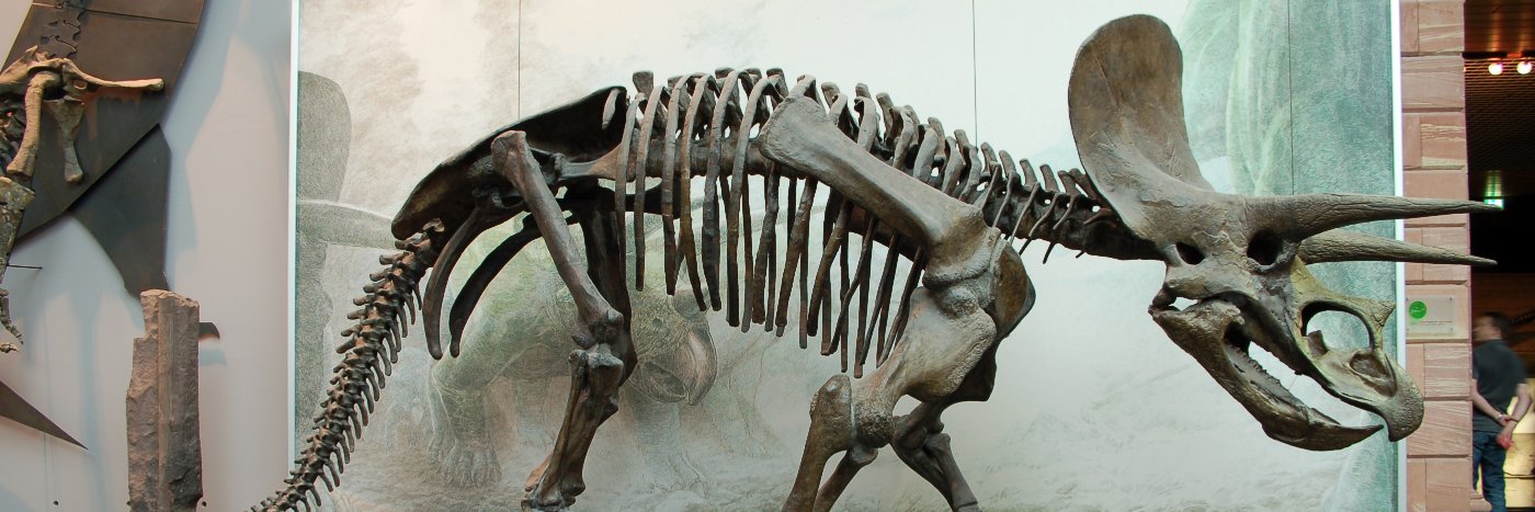 TR¡!¡CERAOPS banner